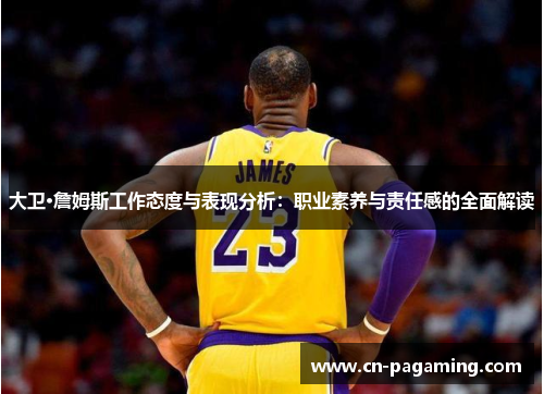 大卫·詹姆斯工作态度与表现分析：职业素养与责任感的全面解读