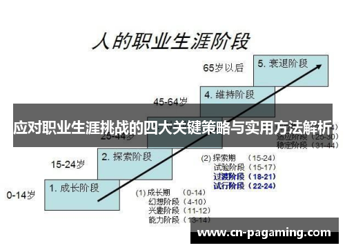 应对职业生涯挑战的四大关键策略与实用方法解析