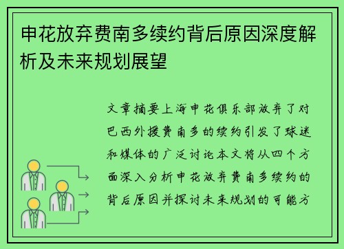 申花放弃费南多续约背后原因深度解析及未来规划展望