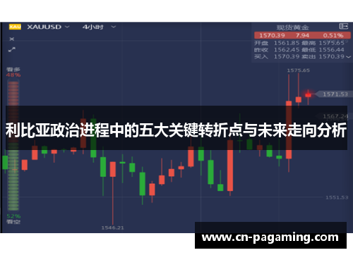 利比亚政治进程中的五大关键转折点与未来走向分析