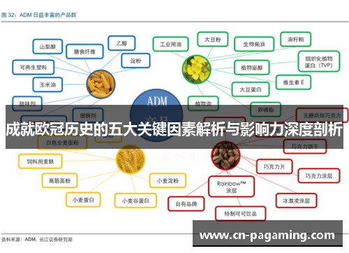 成就欧冠历史的五大关键因素解析与影响力深度剖析