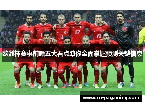 欧洲杯赛事前瞻五大看点助你全面掌握预测关键信息