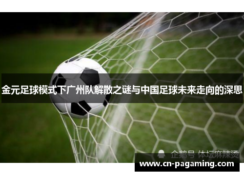 金元足球模式下广州队解散之谜与中国足球未来走向的深思