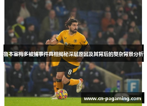 鲁本塞梅多被捕事件真相揭秘深层原因及其背后的复杂背景分析 鲁本塞梅多被捕事件真相揭秘深层原因及其背后的复杂背景分析