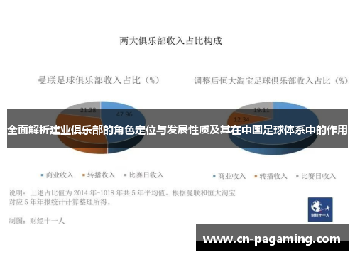 全面解析建业俱乐部的角色定位与发展性质及其在中国足球体系中的作用