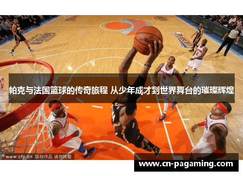 帕克与法国篮球的传奇旅程 从少年成才到世界舞台的璀璨辉煌